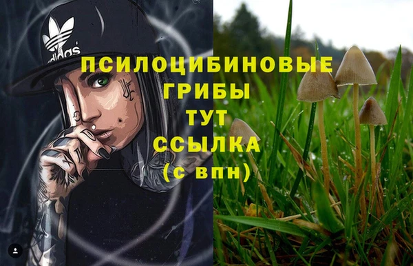 трава Балахна