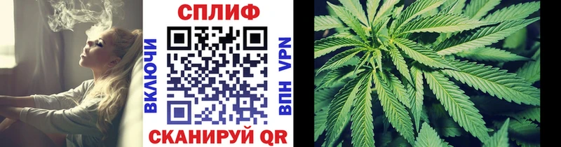 Бошки Шишки ГИДРОПОН Калининец